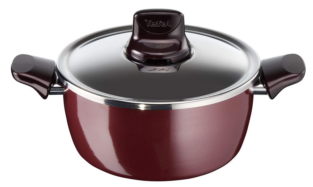 Tefal Pleasure 24 cm Stewpan + Lid, Aluminium Non Stick